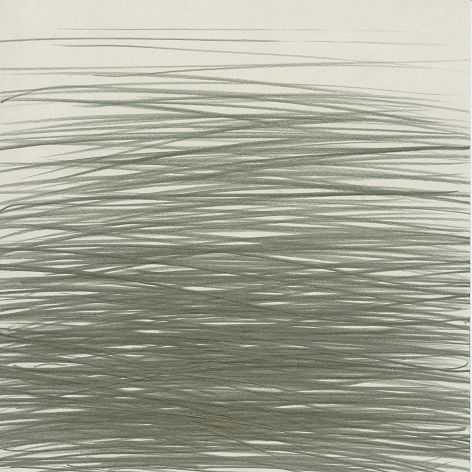 bare drawing2